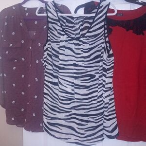Torrid & ANA. Tops & Sweater.  Lot of 3.  All 1x